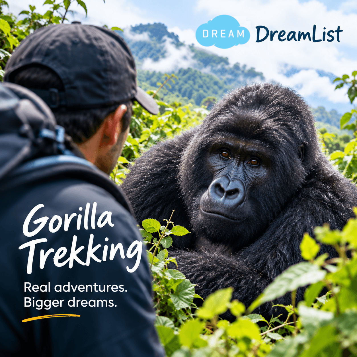 Gorilla trekking