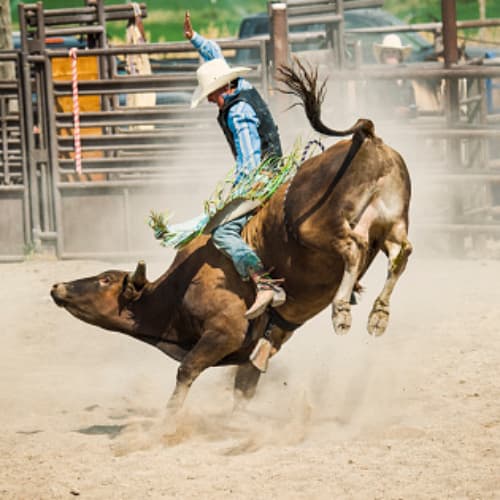 Attend a Rodeo