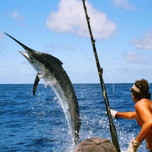 Go Deep Sea Fishing