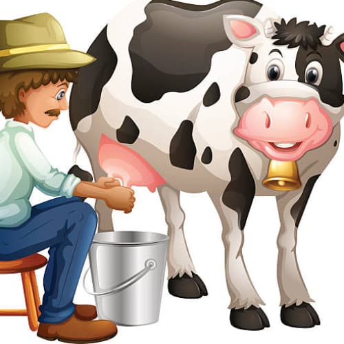 Milk a Cow