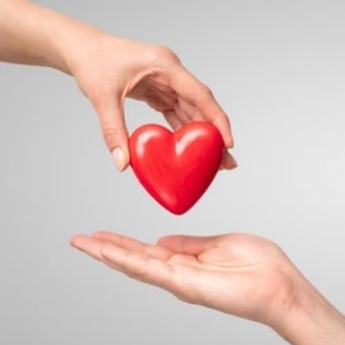 Start a Charity