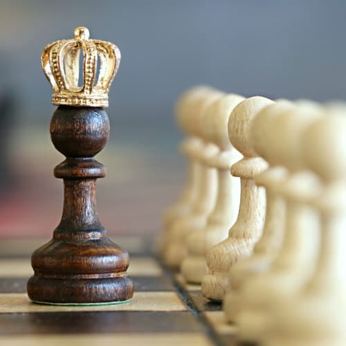 Become a chess champion